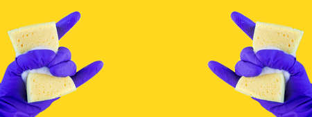 Hand in a rubber glove for cleaning. Kitchen sponge in hand. Spray bottle for window cleaning. Foam sponge in hand on isolated background.の写真素材