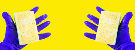 Hand in a rubber glove for cleaning. Kitchen sponge in hand. Spray bottle for window cleaning. Foam sponge in hand on isolated background.の写真素材