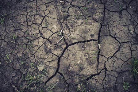 Deep cracks in the ground. The dry ground cracked. Black soil with deep splits. The consequences of an earthquake.の写真素材