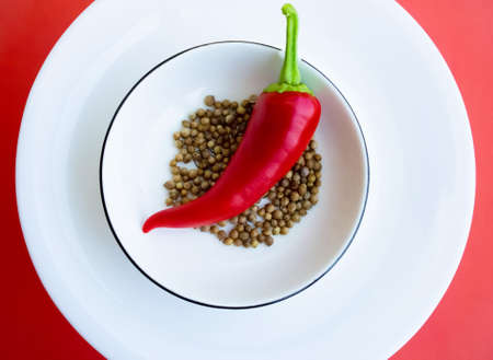 Red Hot Chili Pepper. Capsicum in green grass. Cooking food. Hot seasoning. Pepper pod close up.の写真素材