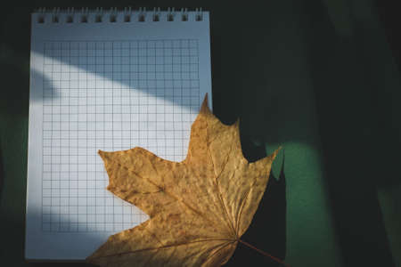 Autumn playlist. Phone and notepad on a background of autumn. Maple leaf and blank notebook. Poems about the autumn period. Headphones and telephone.の写真素材