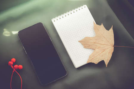 Autumn playlist. Poems about the autumn period. Headphones and telephone.の写真素材