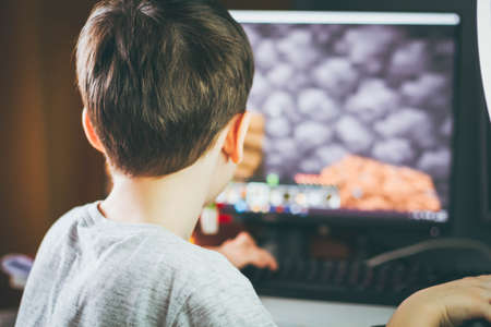 The boy plays minecraft. computer games at home. Construction in the form of a game. children and computer games. game process. management in minecraft.の写真素材