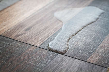 Laminate and water. waterproof laminate. Wooden floors are impervious to moisture. Floor coverings protect from water. A puddle on the floor.の写真素材