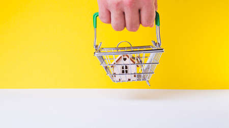 Acquisition of housing. Buying a house Getting the keys to the apartment. Keys in the grocery cart....