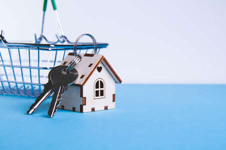 Acquisition of housing. Buying a house Getting the keys to the apartment. Keys in the grocery cart....