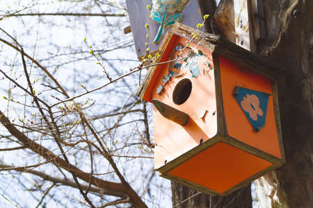 bird feeders. Feeding birds in the forest. Birdhouse on a tree. Caring for animals in the wild.の写真素材