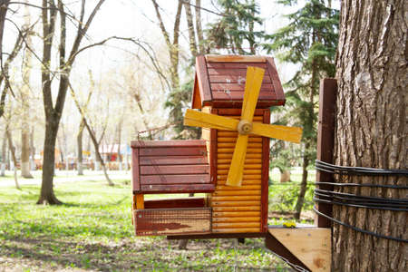 bird feeders. Feeding birds in the forest. Birdhouse on a tree. Caring for animals in the wild.の写真素材