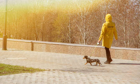 dog walking. Walk of man and dog in the park. Walking in the park. Sunny day and city walk.の写真素材