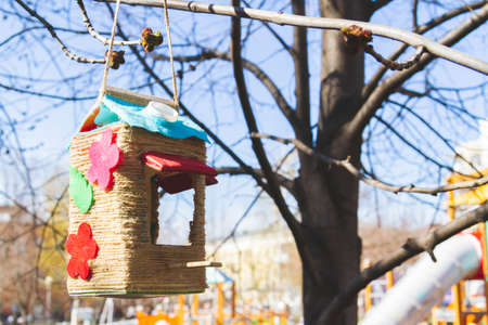 bird feeders. Feeding birds in the forest. Birdhouse on a tree. Caring for animals in the wild.の写真素材