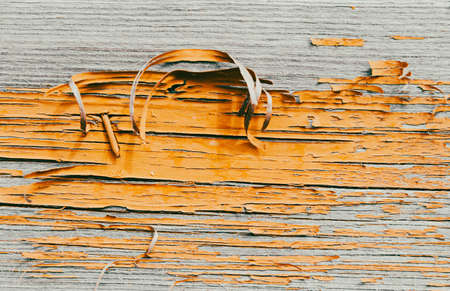 Texture wooden closeup. natural wood texture. The board is painted.の写真素材