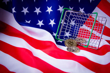 Buying real estate in the us for bitcoin. Bitcoin coin in a food basket. Cryptocurrency payment....