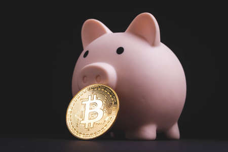 Accumulated bitcoins. Bitcoins in a piggy bank. Investments in cryptocurrency. Coin in a piggy bank.の写真素材