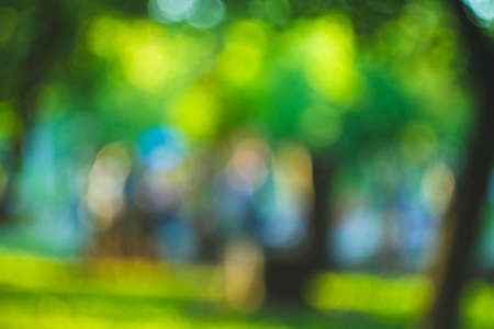 Sunset in the garden out of focus. Beautiful highlights against the backdrop of a green forest and the bright rays of the setting sun. The texture is green with sunrays.の写真素材