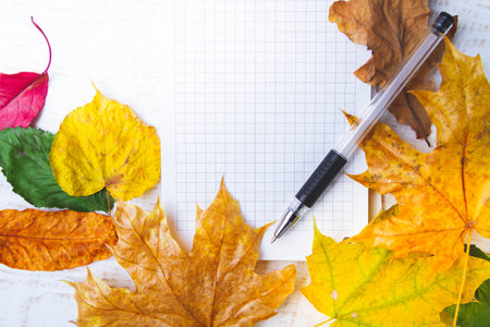 Blank sheet of notebook for entries in autumn leaves. Writing pen and notepad..の写真素材