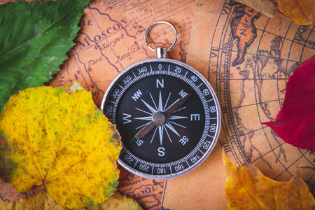 Traveler's compass on map in bright multi-colored autumn leaves. Navigation in autumn..