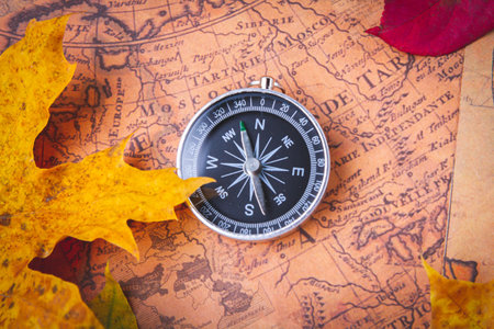 Traveler's compass on map in bright multi-colored autumn leaves. Navigation in autumn..
