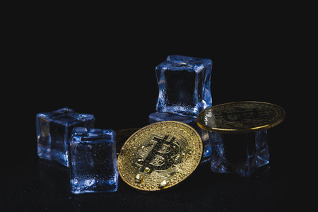 Ice and bitcoin coin. Freezing of cryptocurrency accounts. Frozen bitcoin coin..の写真素材