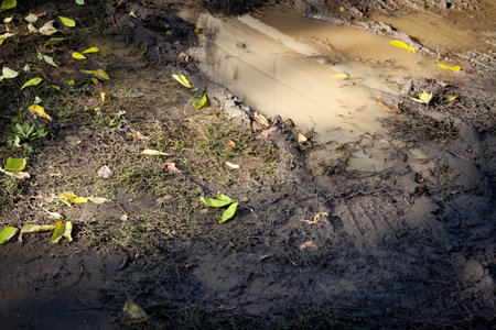 Puddles and mud after heavy rain. Flooded area with traces of cars..
