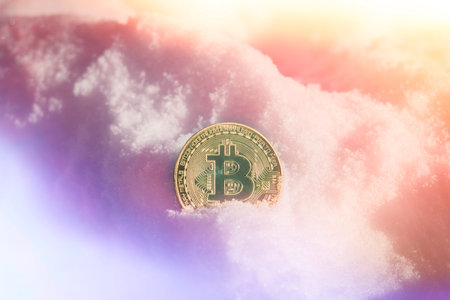 Bitcoin coin in the snow. Freeze accounts. Cryptocurrency blocking..の写真素材