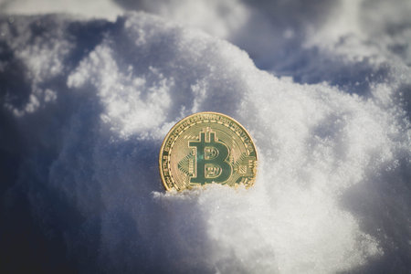 Bitcoin coin in the snow. Freeze accounts. Cryptocurrency blocking..の写真素材