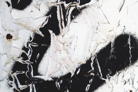 Old cracked paint. Grunge wall. The texture of the wall with deep cracks..の写真素材