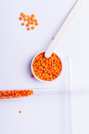 Seeds in a test tube. Quality test. Selection of the best seeds. Laboratory studies for the detection of infections and diseases. Copyspace.の写真素材
