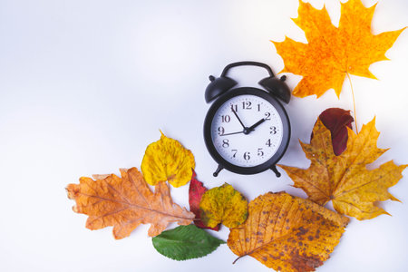 Alarm clock on white background and autumn leaves of different colors..の写真素材