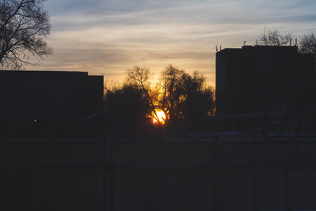 Silhouettes of trees at sunset. Dark tree branches against the bright sun..の写真素材
