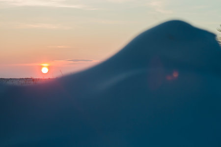 Frosty winter sunset in the field. Beautiful sunset in the snowy desert. Ice and sun..の写真素材