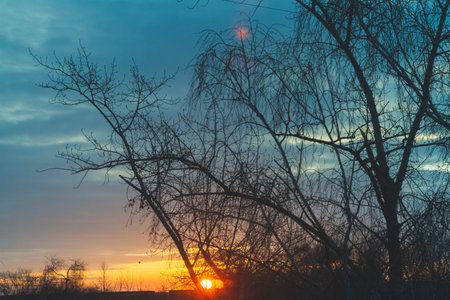 Beautiful morning dawn in spring. Fantastic dawn of the spring sun. Red shades and black silhouettes of trees..の写真素材