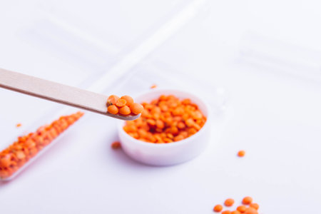 Seeds in a test tube. Quality test. Selection of the best seeds. Laboratory studies for the detection of infections and diseases. Copyspace.の写真素材