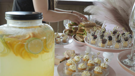 Catering with sandwiches and snacks, fruit lemonade. Snacks at the buffet. Business lunch.