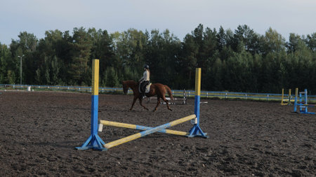 Young woman riding a horse, rides in an equestrian club. Woman equestrian riding a horse on a...