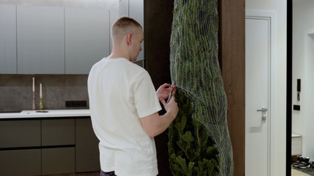 Male carefully unwrapping pine tree from protective netting, positioning freshly purchased evergreen inside contemporary living space with holiday anticipationの写真素材