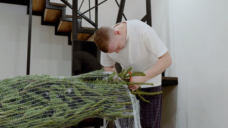 Man gently freeing tangled christmas tree netting, creating festive home setting with warmth and...
