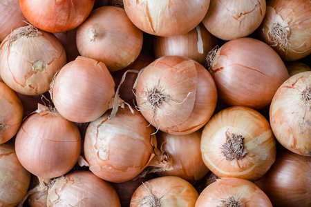 Ripe fresh unpeeled onions texture background top view tasty if you fryの写真素材