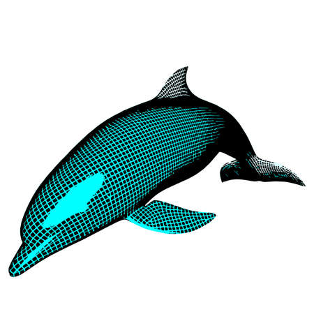 illustration dolphin vector greed engraving style cartoonのイラスト素材
