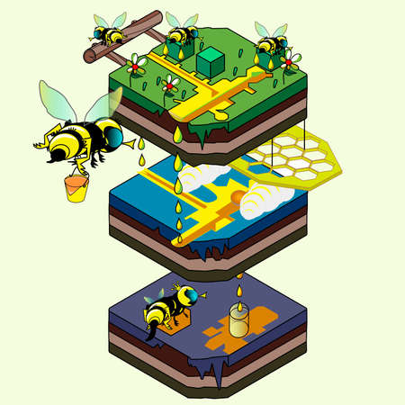 Honey Bees isometric art cartoon. 3d beeのイラスト素材