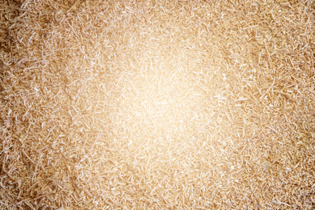 texture of veneer walnutの写真素材