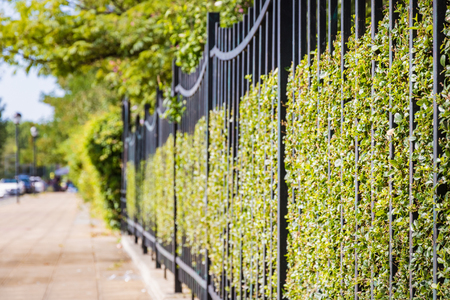 Metal fence in green grassの写真素材