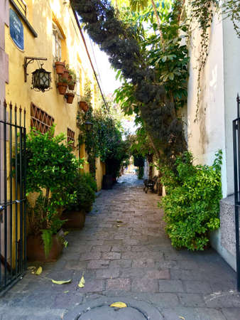 Callejn plenty of natureの素材