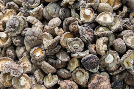Dried shiitake mushrooms on the market