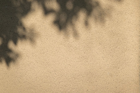 Leaves shadow on cement wall texture. Abstract background for design.の写真素材