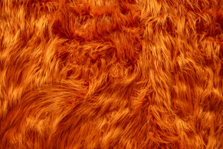 Fur texture, Fur background for design with copy space for text or image.の写真素材