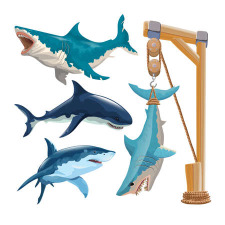 Set of different sharks in vector. Several sharks in motion and different colors and a shark hanging on a hook. Isolated on on a white background.のイラスト素材