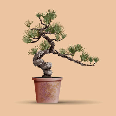 Beautiful realistic tree.Tree in bonsai style. Bonsai tree with unusual twisted trunk on the low round pot. Decorative little tree vector illustration. Nature art.のイラスト素材