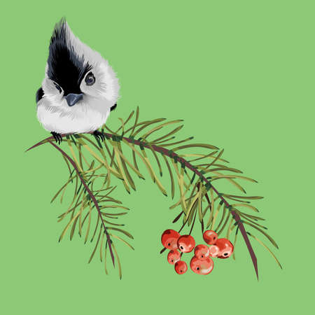 Vintage floral greeting card, spring or summer decoration with pine dry branch, red berries, mountain ash, little gray bird. Colorful vector illustration.Isolate.のイラスト素材