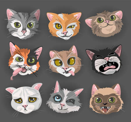 Cats heads faces emoticons vector illustration set.