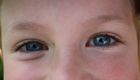 macro shot of children's blue eyes with long eyelashesの写真素材